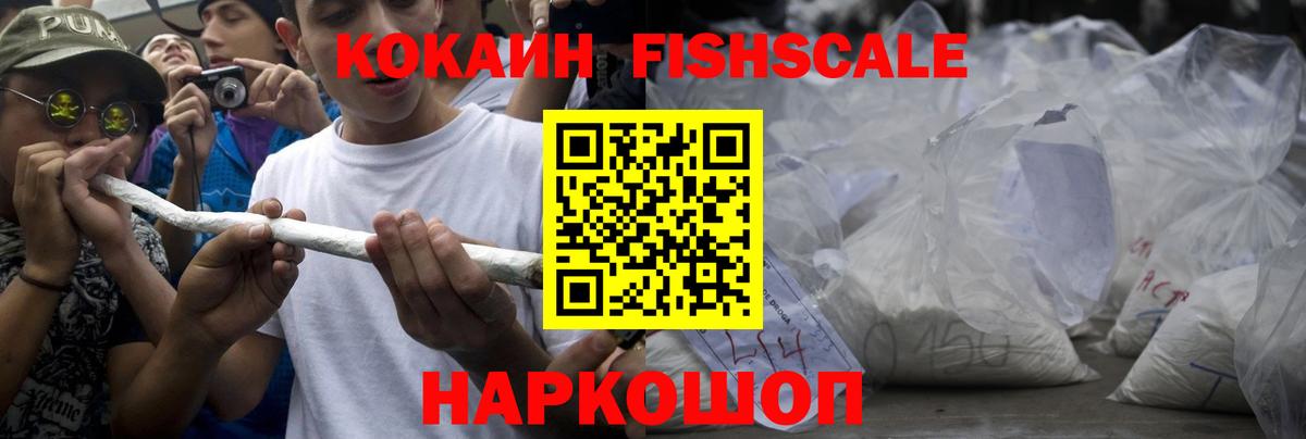 COCAIN Fish Scale  Вход с VPN  Выкса 