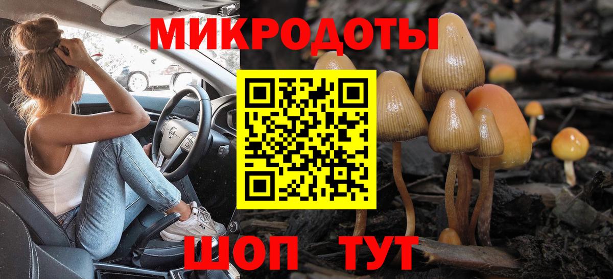 Галлюциногенные грибы Psilocybine cubensis  Вход с VPN  Галлюциногенные грибы мухоморы  Выкса 