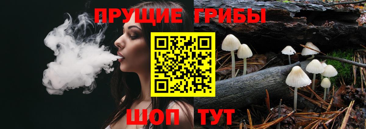 Псилоцибиновые грибы GOLDEN TEACHER Выкса